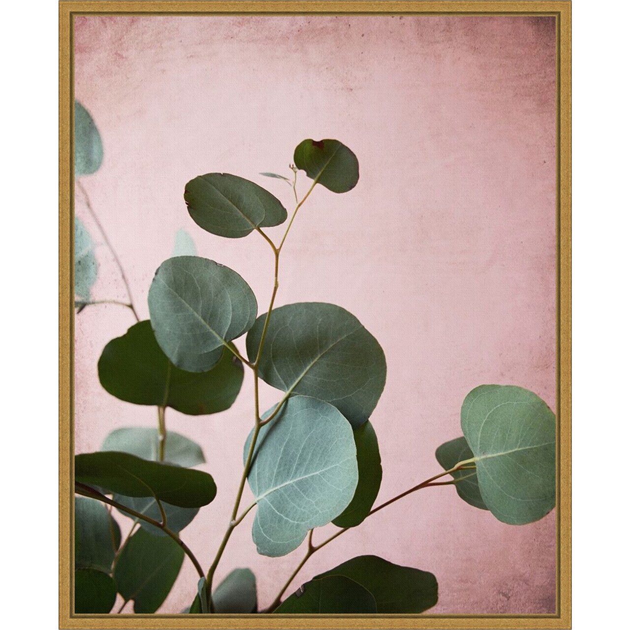 Sage Eucalyptus No. 2 by Lupen Grainne 16-in. W x 20-in. H. Canvas Wall Art Print Framed in Gold